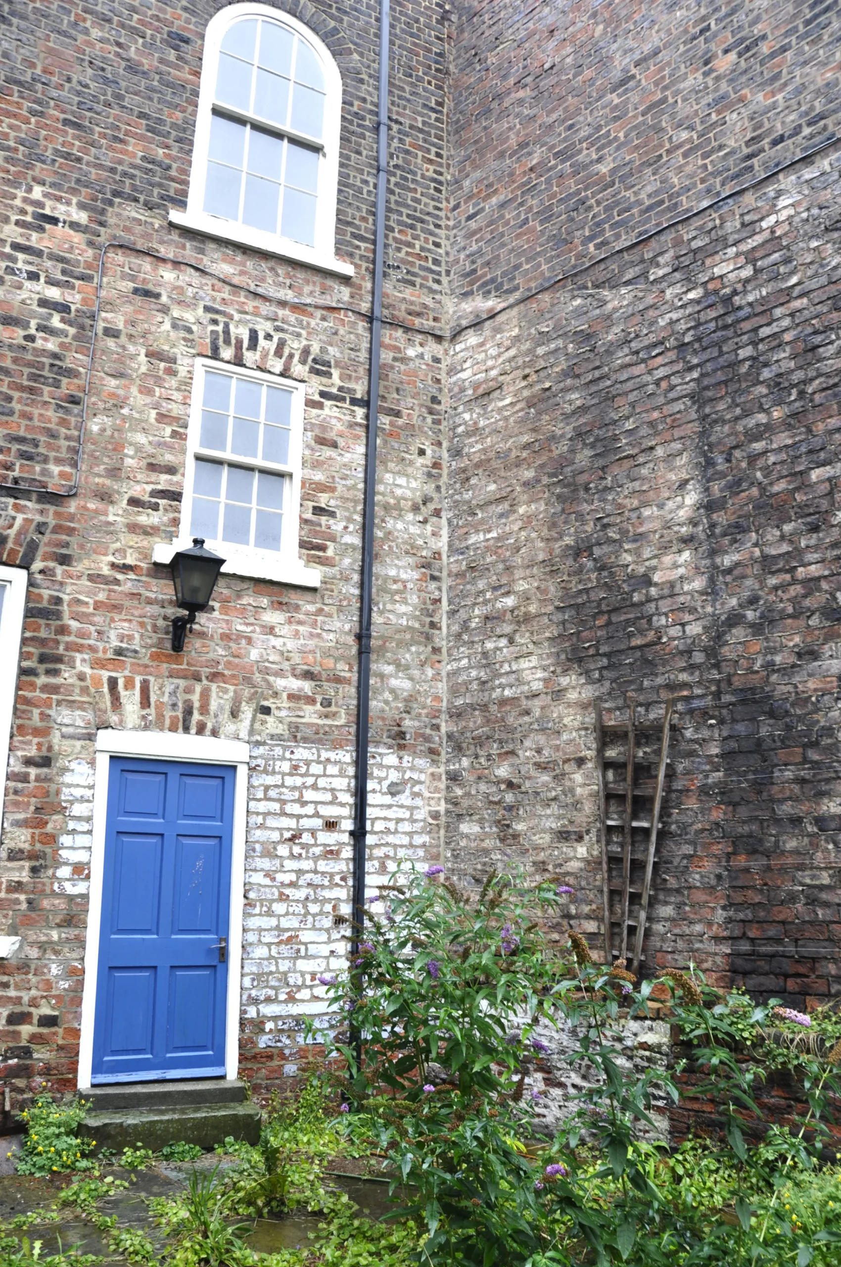 Before photograph of the neglected rear elevation of a Grade II listed townhouse in York, showing the original blue painted door, arched sash window and overgrown courtyard prior to the contemporary rear extension